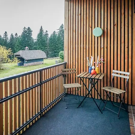 Vila Ourhahn Zwieselberg Luxury Group House Up To 60 Persons *