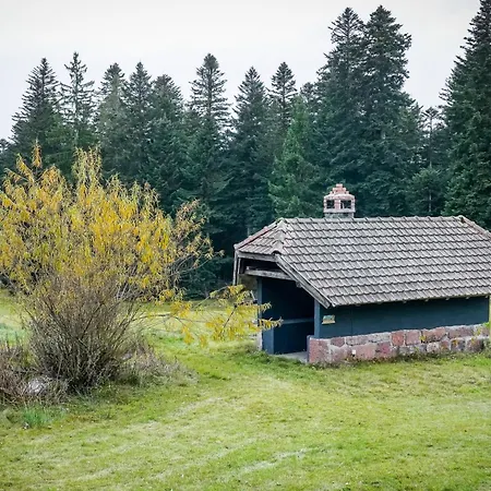 Ourhahn Zwieselberg Luxury Group House Up To 60 Persons Vila Freudenstadt